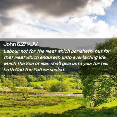 Picture 02 - John 6:27 KJV - Labour not for the meat which perisheth, but for - Bible Verse Picture