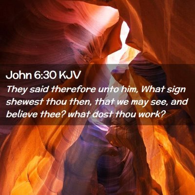 Picture 02 - John 6:30 KJV - They said therefore unto him, What sign shewest - Bible Verse Picture