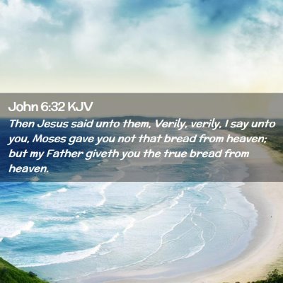 Picture 02 - John 6:32 KJV - Then Jesus said unto them, Verily, verily, I say - Bible Verse Picture