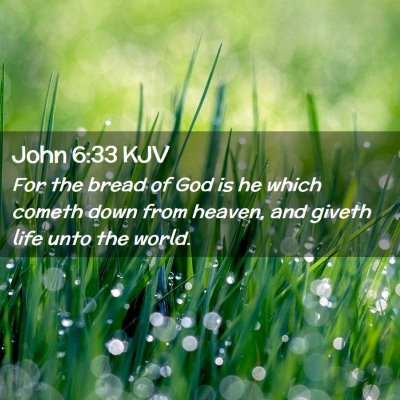 Picture 02 - John 6:33 KJV - For the bread of God is he which cometh down from - Bible Verse Picture