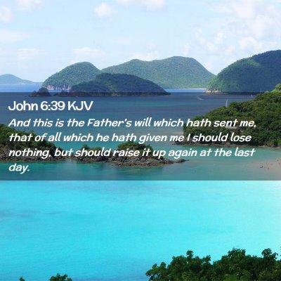 Picture 02 - John 6:39 KJV - And this is the Father's will which hath sent me, - Bible Verse Picture