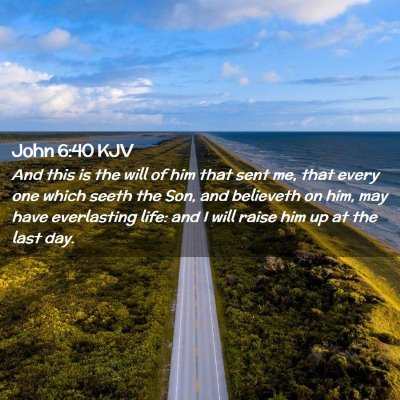 Picture 02 - John 6:40 KJV - And this is the will of him that sent me, that - Bible Verse Picture