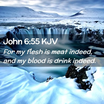 Picture 02 - John 6:55 KJV - For my flesh is meat indeed, and my blood is - Bible Verse Picture