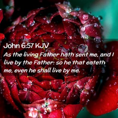 Picture 02 - John 6:57 KJV - As the living Father hath sent me, and I live by - Bible Verse Picture