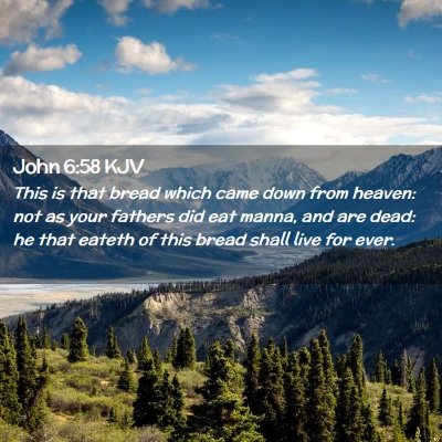 Picture 02 - John 6:58 KJV - This is that bread which came down from heaven: - Bible Verse Picture