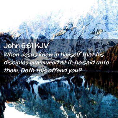 Picture 02 - John 6:61 KJV - When Jesus knew in himself that his disciples - Bible Verse Picture
