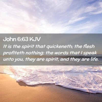 Picture 02 - John 6:63 KJV - It is the spirit that quickeneth; the flesh - Bible Verse Picture