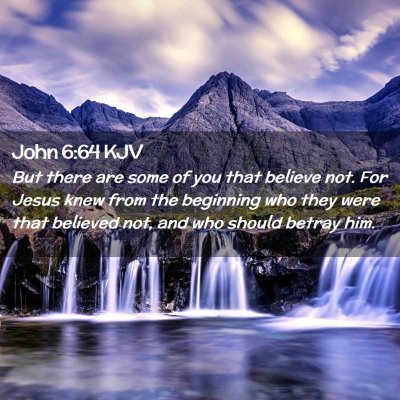 Picture 02 - John 6:64 KJV - But there are some of you that believe not. For - Bible Verse Picture