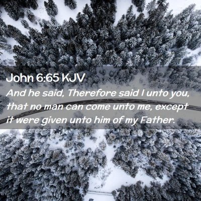 Picture 02 - John 6:65 KJV - And he said, Therefore said I unto you, that no - Bible Verse Picture