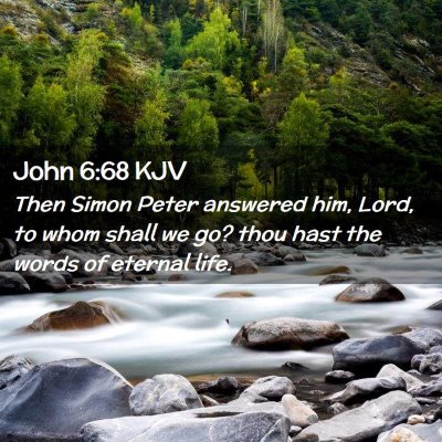 Picture 02 - John 6:68 KJV - Then Simon Peter answered him, Lord, to whom - Bible Verse Picture