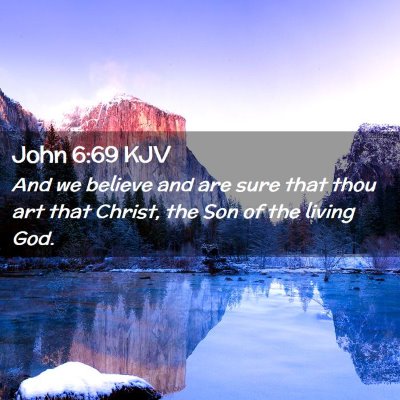 Picture 02 - John 6:69 KJV - And we believe and are sure that thou art that - Bible Verse Picture