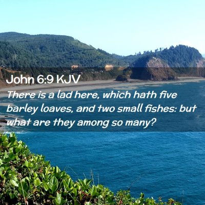 Picture 02 - John 6:9 KJV - There is a lad here, which hath five barley - Bible Verse Picture