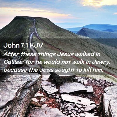 Picture 02 - John 7:1 KJV - After these things Jesus walked in Galilee: for - Bible Verse Picture