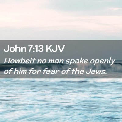 Picture 02 - John 7:13 KJV - Howbeit no man spake openly of him for fear of - Bible Verse Picture