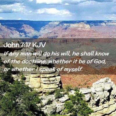 Picture 02 - John 7:17 KJV - If any man will do his will, he shall know of the - Bible Verse Picture