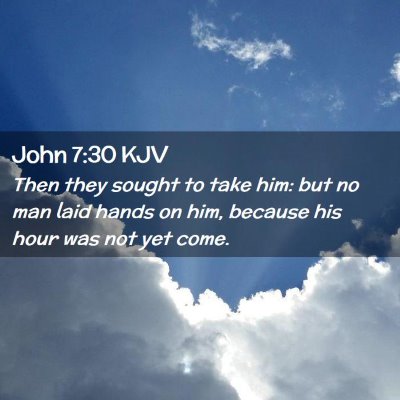 Picture 02 - John 7:30 KJV - Then they sought to take him: but no man laid - Bible Verse Picture