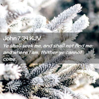 Picture 02 - John 7:34 KJV - Ye shall seek me, and shall not find me: and - Bible Verse Picture