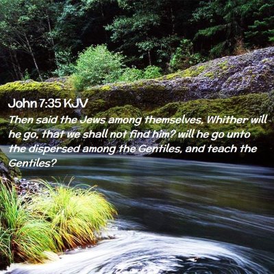 Picture 02 - John 7:35 KJV - Then said the Jews among themselves, Whither will - Bible Verse Picture