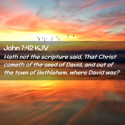 Picture 02 - John 7:42 KJV - Hath not the scripture said, That Christ cometh - Bible Verse Picture