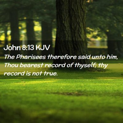 Picture 02 - John 8:13 KJV - The Pharisees therefore said unto him, Thou - Bible Verse Picture