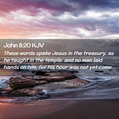 Picture 02 - John 8:20 KJV - These words spake Jesus in the treasury, as he - Bible Verse Picture