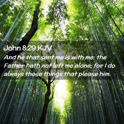 Picture 02 - John 8:29 KJV - And he that sent me is with me: the Father hath - Bible Verse Picture