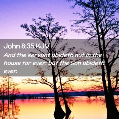 Picture 02 - John 8:35 KJV - And the servant abideth not in the house for - Bible Verse Picture