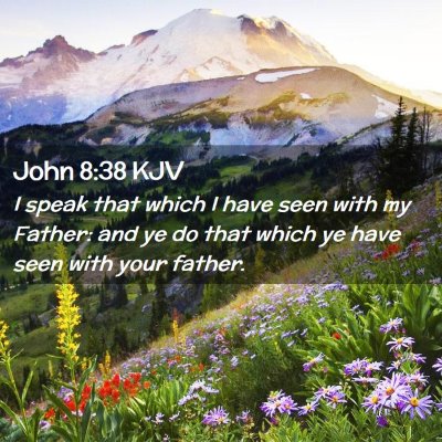 Picture 02 - John 8:38 KJV - I speak that which I have seen with my Father: - Bible Verse Picture