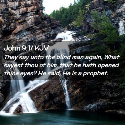 Picture 02 - John 9:17 KJV - They say unto the blind man again, What sayest - Bible Verse Picture