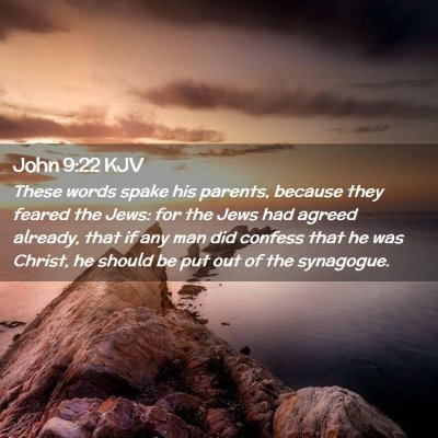Picture 02 - John 9:22 KJV - These words spake his parents, because they - Bible Verse Picture