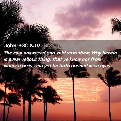 Picture 02 - John 9:30 KJV - The man answered and said unto them, Why herein - Bible Verse Picture