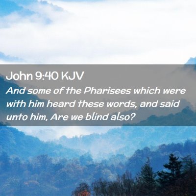 Picture 02 - John 9:40 KJV - And some of the Pharisees which were with him - Bible Verse Picture