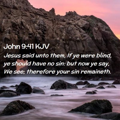 Picture 02 - John 9:41 KJV - Jesus said unto them, If ye were blind, ye should - Bible Verse Picture