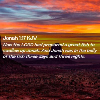 Picture 02 - Jonah 1:17 KJV - Now the LORD had prepared a great fish to swallow - Bible Verse Picture