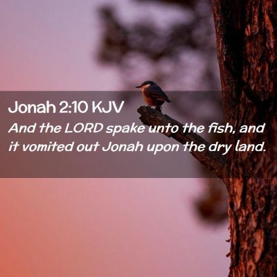Picture 02 - Jonah 2:10 KJV - And the LORD spake unto the fish, and it vomited - Bible Verse Picture