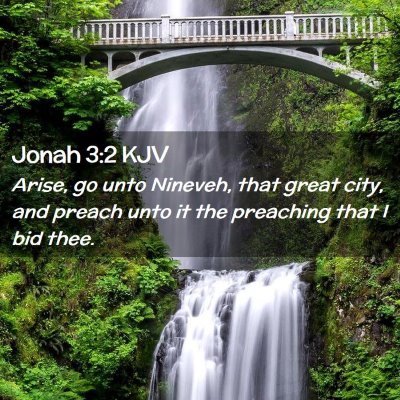 Picture 02 - Jonah 3:2 KJV - Arise, go unto Nineveh, that great city, and - Bible Verse Picture