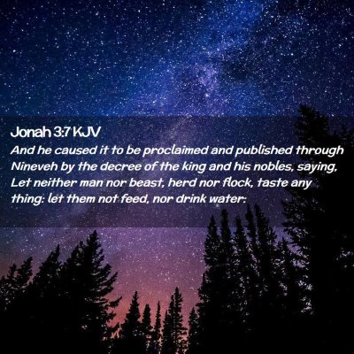 Picture 02 - Jonah 3:7 KJV - And he caused it to be proclaimed and published - Bible Verse Picture