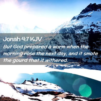 Picture 02 - Jonah 4:7 KJV - But God prepared a worm when the morning rose the - Bible Verse Picture