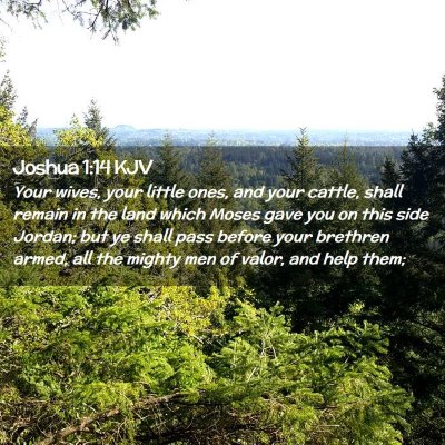 Picture 02 - Joshua 1:14 KJV - Your wives, your little ones, and your cattle, - Bible Verse Picture
