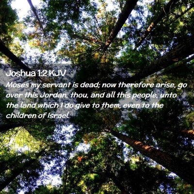 Picture 02 - Joshua 1:2 KJV - Moses my servant is dead; now therefore arise, go - Bible Verse Picture