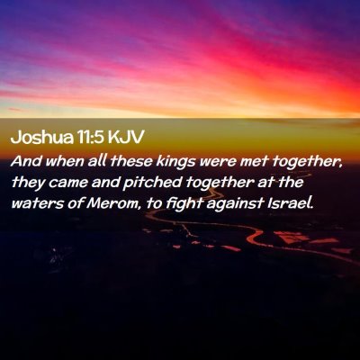 Picture 02 - Joshua 11:5 KJV - And when all these kings were met together, they - Bible Verse Picture