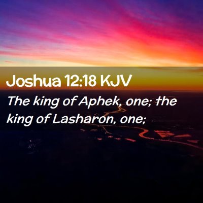 Picture 02 - Joshua 12:18 KJV - The king of Aphek, one; the king of Lasharon, - Bible Verse Picture