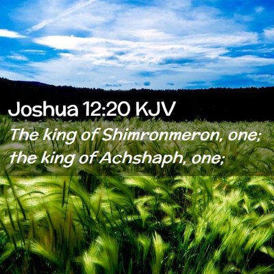 Picture 02 - Joshua 12:20 KJV - The king of Shimronmeron, one; the king of - Bible Verse Picture