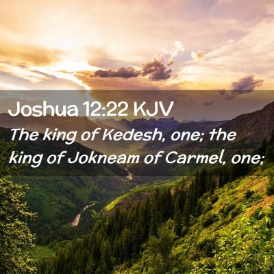 Picture 02 - Joshua 12:22 KJV - The king of Kedesh, one; the king of Jokneam of - Bible Verse Picture