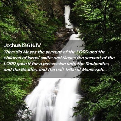 Picture 02 - Joshua 12:6 KJV - Them did Moses the servant of the LORD and the - Bible Verse Picture
