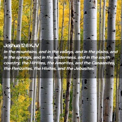 Picture 02 - Joshua 12:8 KJV - In the mountains, and in the valleys, and in the - Bible Verse Picture