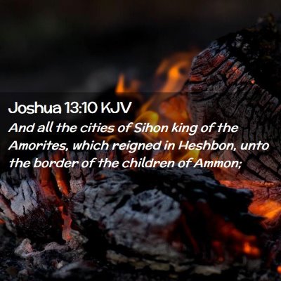 Picture 02 - Joshua 13:10 KJV - And all the cities of Sihon king of the Amorites, - Bible Verse Picture