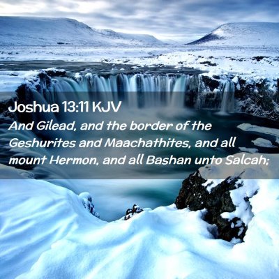 Picture 02 - Joshua 13:11 KJV - And Gilead, and the border of the Geshurites and - Bible Verse Picture