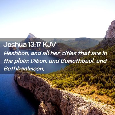 Picture 02 - Joshua 13:17 KJV - Heshbon, and all her cities that are in the - Bible Verse Picture