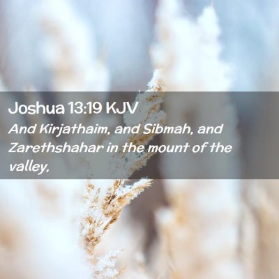 Picture 02 - Joshua 13:19 KJV - And Kirjathaim, and Sibmah, and Zarethshahar in - Bible Verse Picture